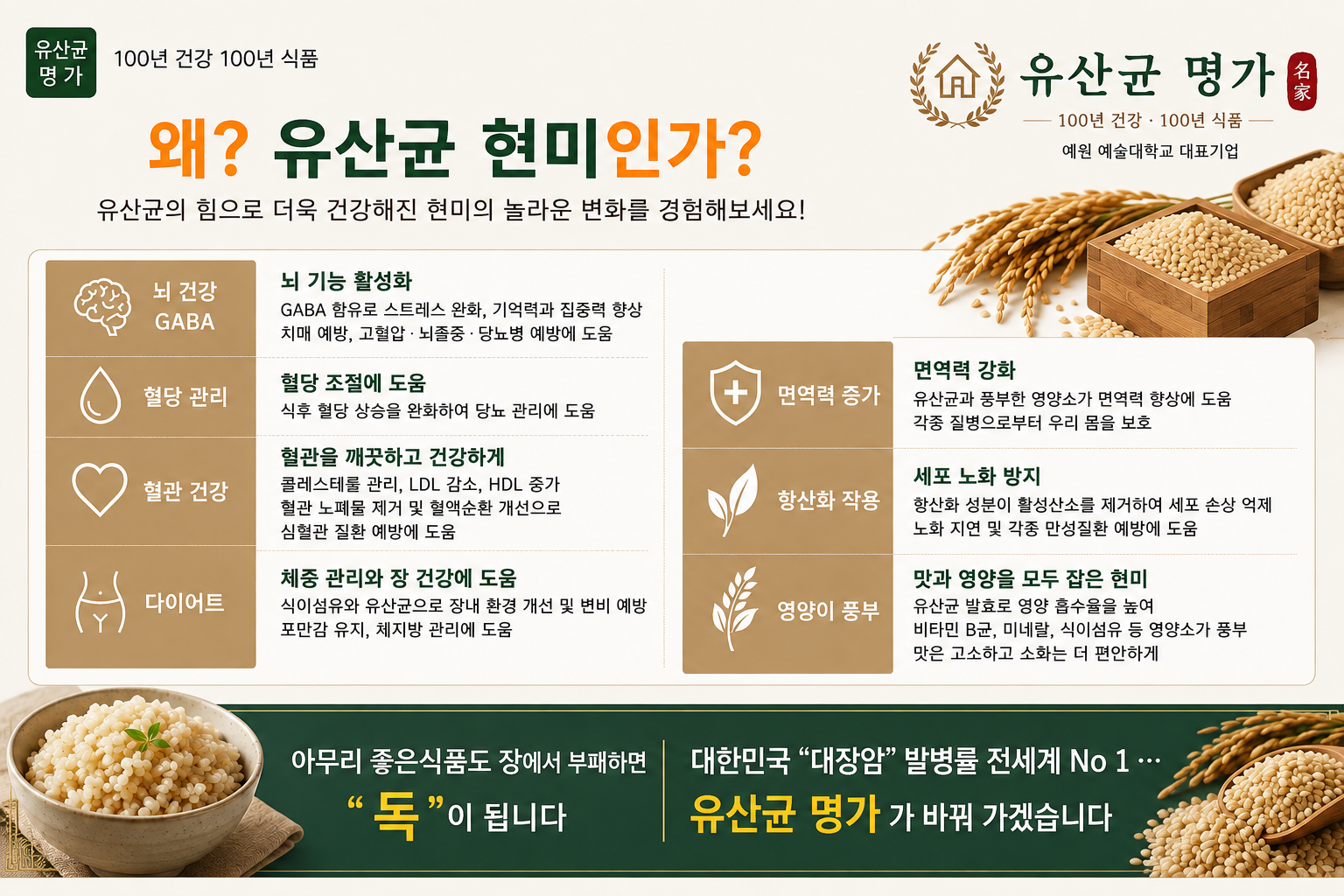 유산균 현미찹쌀 상세 사진
