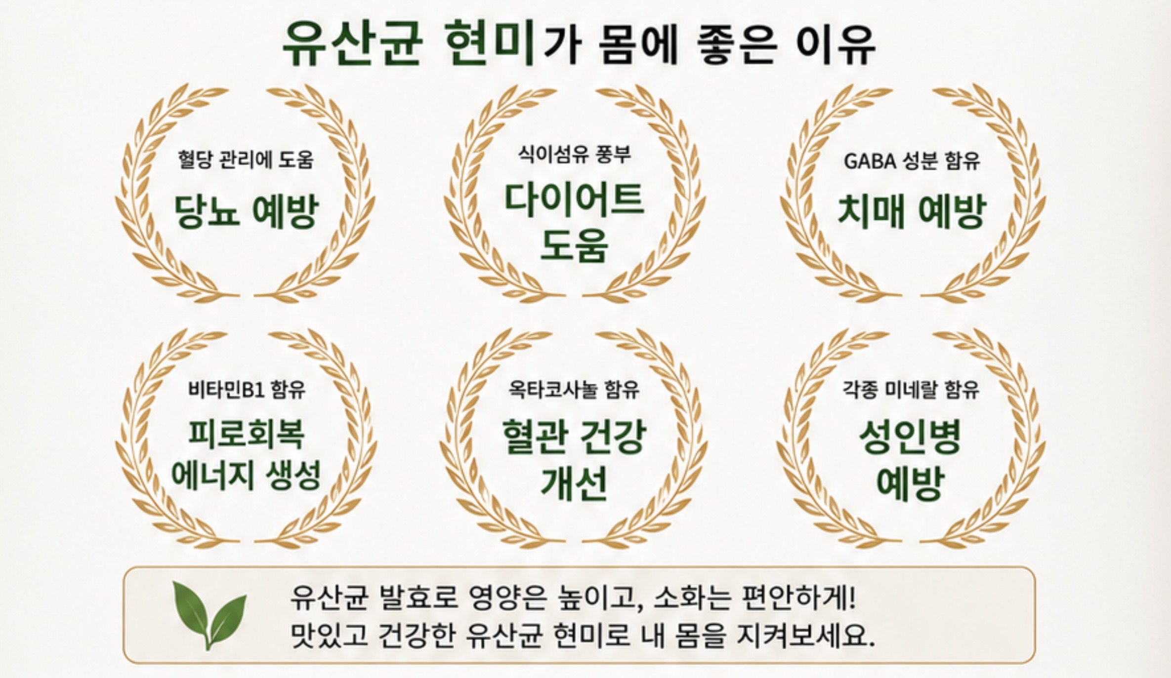 유산균 현미찹쌀 상세 사진